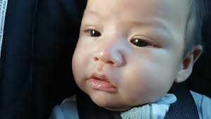 Fundraiser by Jessica Ramirez : Help support Julie & Eddy during this  unimaginable loss