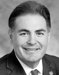 The Phoenix Summary Budget