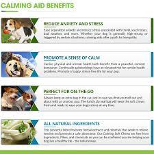 Dog Calming Aid Treats Melatonin L Tryptophan Chamomile Flower Passion Flower And Thiamine Mononitrate 6 Calm Dogs Calming Treats For Dogs Chamomile Flowers