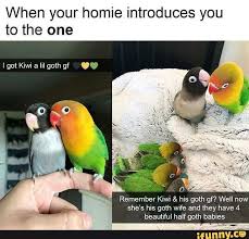 When Your Homie Introduces You To The One I Remember Kiwi His Goth Gf Well Now She S His Goth Wife And They Have 4 Beautiful Half Goth Babies Ifunny
