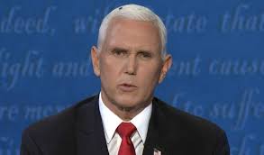 Watch Fly Gets Caught In Mike Pence S Hair During Vp Debate Heavy Com