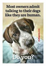Well Of Course Dogs Understand Much Better What I Am Trying To Say Than Say My Husband Would Lol Dog Quotes I Love Dogs Dogs