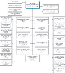 30 All Inclusive Ihs Organizational Chart