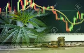 Business Cannabis Leaves Marijuana Stock Exchange Market Or Trading