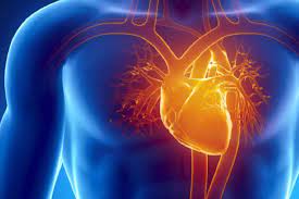 Embora exista muita polêmica com relação ao uso de enfarte ou. Gestos Que Salvam Como Reconhecer Sinais De Enfarte Agudo Do Miocardio Inem