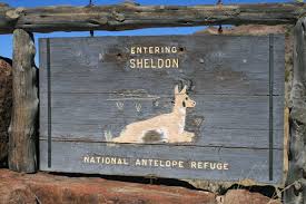 Image result for Little Catnip Spring - Sheldon Refuge Winnemucca NV