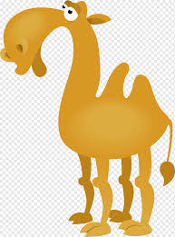 Cartoon camel isolated on white background vector illustration of cartoon camel isolated on white background camel cartoon stock illustrations. Bactrian Camel Cartoon Drawing Camel Cartoon Cartoon Character Mammal Animals Png Pngwing