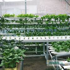 Ini Adalah Kebun Hidroponik Skala Hobby Dimana Semua Sistem Ada Disini Mulai Dari Sistem Nft Di Sebelah Kanan Lalu Ada Sistem Dft Meja Da Hidroponik