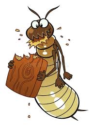 Termite Eats Wood Cartoon Termite Eats Piece Of Wood Cartoon Pest Series Affiliate Wood Cartoon Termite Eats Pest Termite Control Art Termites