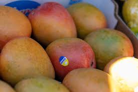 Maybe you would like to learn more about one of these? Mangga Buah Makanan Baki Sehat Segar Makanan Dan Minuman Makan Sehat Piqsels