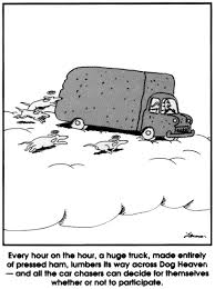 All just waiting for a cartoonist to come along. Far Side Spam
