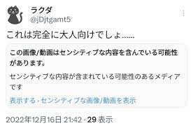 2023】Twitter「センシティブな内容」の警告が解除できない！判定の原因と対処法 - OTONA LIFE | オトナライフ