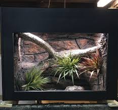 Https Www Facebook Com Scalesandtailscre Reptile Enclosure Reptile Terrarium Vivarium