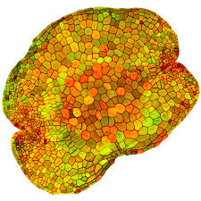 Lecture theatres and supervision rooms; Scope Plantcode