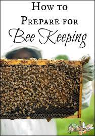 Read Now And Bee Ready See What I Did There Bee Keeping Backyard Bee Honey Bees Keeping
