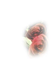 TRADITION, FAMILY, PROPERTY ○ AMERICA NEEDS FATIMA ○ WWW.ANF.ORG