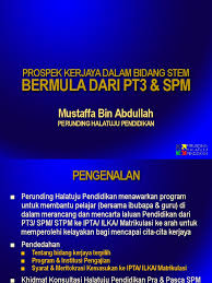 Pernahkah anda mendengar bidang pengajian sains aktuari? Bahan Stem