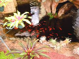 And the clothes are washed. My Birthday In The Rainforest Well Actually Rfi In Torrance Ca Nixwickedgarden