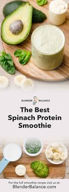 ridiculously good protein smoothie