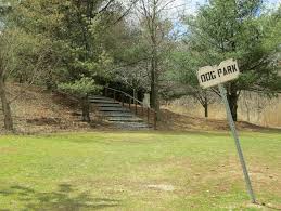 The difficulty we have is growing grass in this very sandy soil along with the. Group Forms To Lobby Town For Bigger Better Off Leash Dog Park Greenwich Free Press