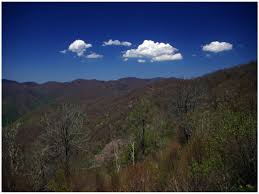 There are 2 pet friendly campgrounds and rv resorts in maggie valley, and 25 more nearby. Balsam Mountain Campground Backpacking Camping