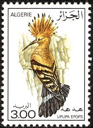 Birds On Stamps Algeria Algerije Algerie Postage Stamp Collecting Postal Stamps Old Stamps
