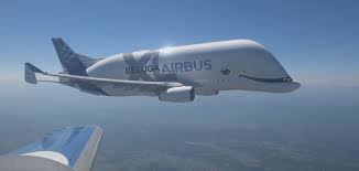 Airbus operates the beluga and the larger belugaxl to transport parts of its aircraft between construction and assembly sites, as this article explores. Watch The Airbus Beluga Xl Take Its First Flight Aerospace Manufacturing