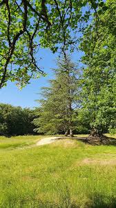 Foret De Bouconne Levignac 2020 All You Need To Know Before You Go With Photos Tripadvisor
