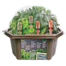 Unique Gardener Biosphere Terrariums Brown Culinary Herb Collection Indoor Garden Terrarium Indoor Garden Seed Starter Kit 5528090 The Home Depot Culinary Herbs Garden Kit Herbs
