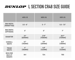 Buy Dunlop L Section Cr48 Tyre Demon Tweeks