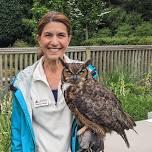 Raptors in the Garden
