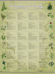 Healing Herbs Chart Herbs Herbalism Healing Herbs