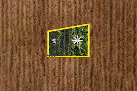 Celebrating culture ✊ for content submission and business inquiries, use the link below featurely.co/blackskinwomen. Consulting Consulting Services Ey Global