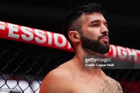 289 Photos & High Res Pictures