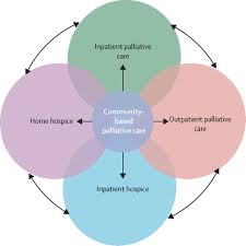 Specialist palliative care providers (eg, consultant palliative care physicians or nurse specialists). Integration Of Oncology And Palliative Care A Lancet Oncology Commission The Lancet Oncology
