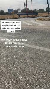 Luis Simonetti (@luissimonetti3)