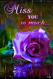 We did not find results for: Sksgyv 2520 281 29 Gif 320 480 Good Morning Images Flowers Love You Images Flower Images