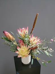 Image result for Protea enervis