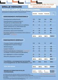 Exemple cv bac pro commerce; Repartition Horaire Recommandee En Bac Pro Assp