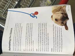 Pin By French On Tricks To Teach Your Dog Verbal Cues Your Dog Dogs