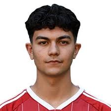 Profile Malik Adilovic, : Info, news, matches and statistics