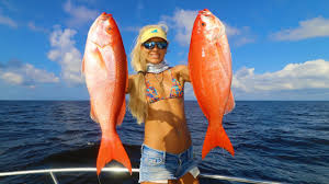We did not find results for: Giant Deep Water Snapper Limits Catch And Cook Stuart Florida Fishing Youtube