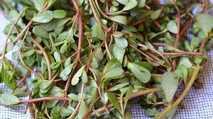 My best advice when using purslane in your kitchen is to either eat it raw, or cook it completely. Superfood Green To Try Purslane Purslane Salad Recipe