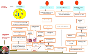 30 grams × 4 calories/gram = 120 calories. Therapeutic Potential Of Mushrooms In Diabetes Mellitus Role Of Polysaccharides Sciencedirect