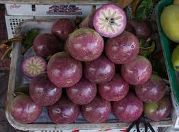 The common names cainito and caimito likely come from the mayan words cab (juice), im (breast), and vitis (sap), via spanish. Chrysophyllum Cainito Iplantz
