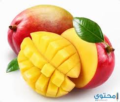 We did not find results for: ØªÙØ³ÙŠØ± Ø­Ù„Ù… Ø§Ù„Ù…Ø§Ù†Ø¬Ùˆ ÙÙŠ Ø§Ù„Ù…Ù†Ø§Ù… Ù„Ø§Ø¨Ù† Ø³ÙŠØ±ÙŠÙ† Ù…ÙˆÙ‚Ø¹ Ù…Ø­ØªÙˆÙ‰