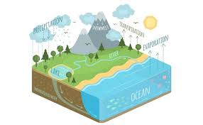 Siklus air adalah siklus perputaran air dari asal nya, lalu hujan kembali lagi ke tanah atau tempat asalnya. Siklus Hidrologi Lengkap Dengan Gambar Dan Penjelasannya