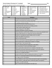 Chapter 8 from dna to proteins vocabulary practice answer key. Protein Synthesis Vocab Ws Protein Synthesis Worksheet 6 Vocabulary Name Identify Each Definition With Key Terms From This Unit Amino Acid Exon Course Hero