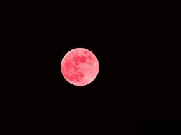 Tons of awesome pink moon 2018 wallpapers to download for free. Black Pink Moon Desktop Wallpaper Background Macbook Wallpaper Pink Moon Desktop Wallpaper