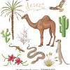 Desert animals in habitat coloring page. 1